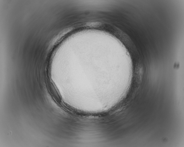 X0000112720734200910011131