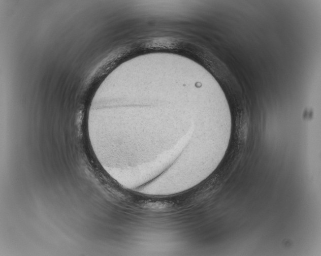 X0000112720735200910011131