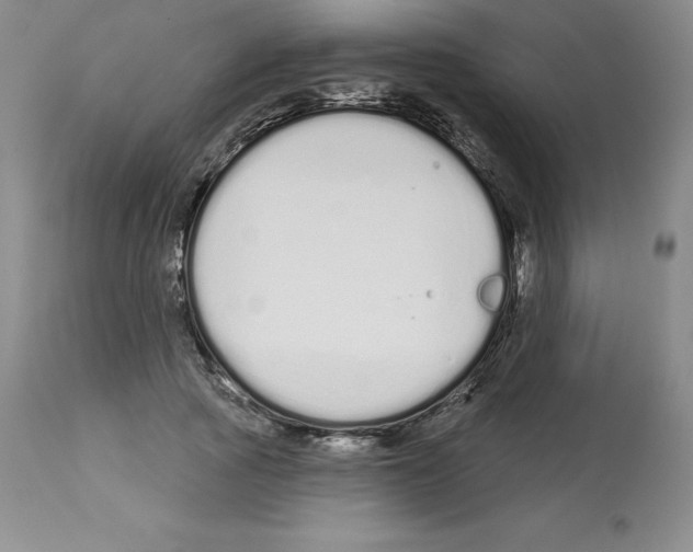 X0000112720737200910011131