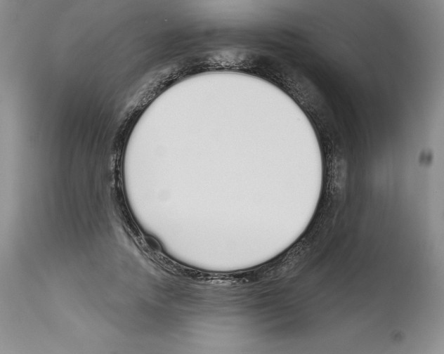 X0000112720738200910011131