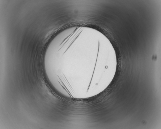 X0000112720740200910011131