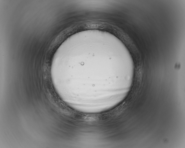 X0000112720741200910011131