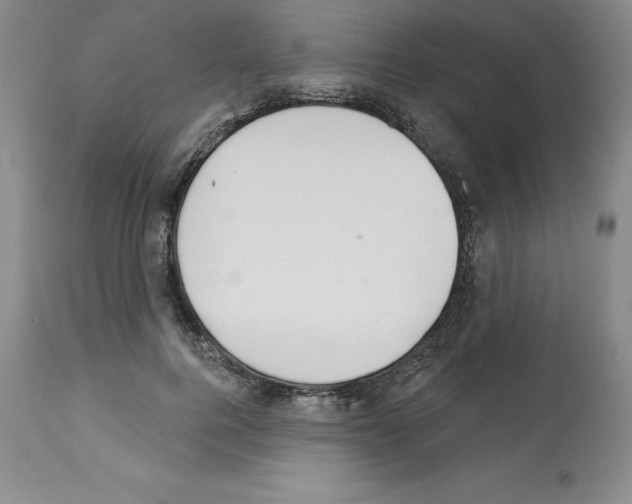 X0000112720744200910011131