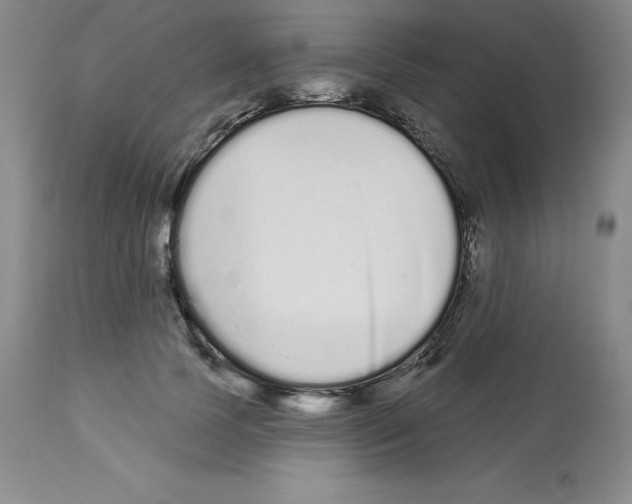 X0000112720745200910011131