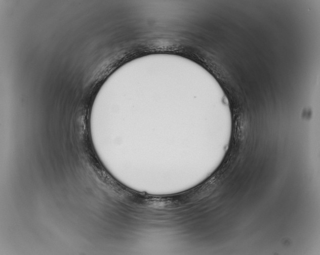 X0000112720746200910011131