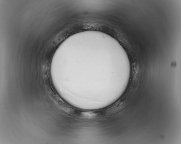 X0000112720749200910011131