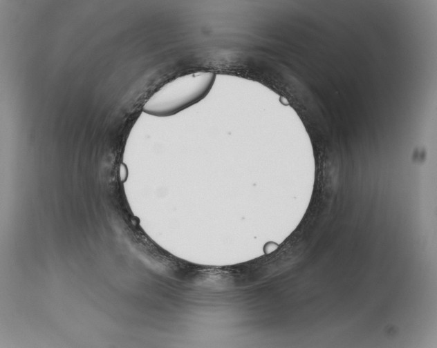 X0000112720750200910011131