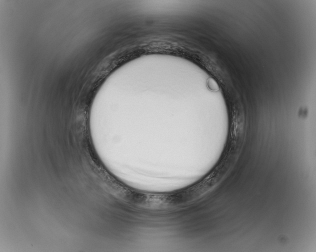 X0000112720753200910011131