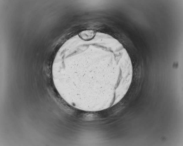 X0000112720755200910011131