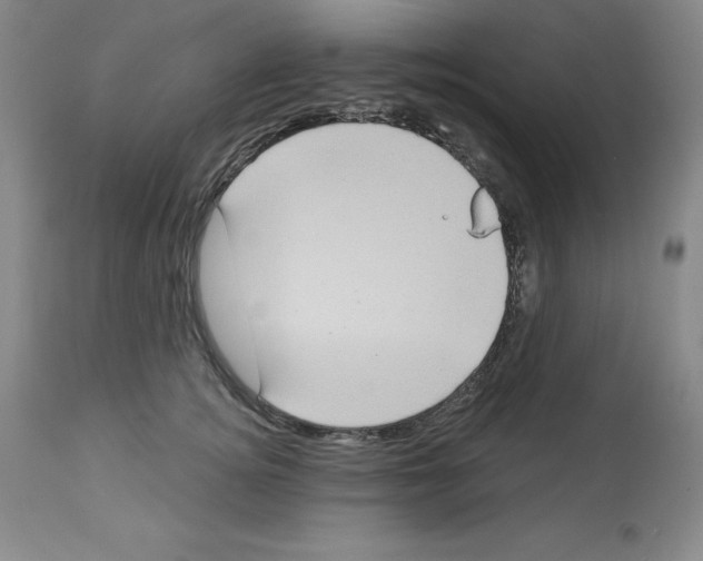 X0000112720756200910011131