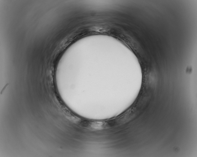 X0000112720757200910011131