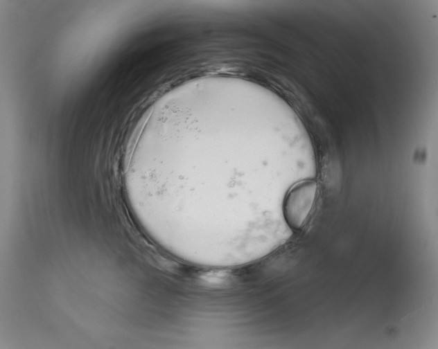 X0000112720761200910011131