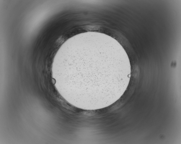 X0000112720763200910011132