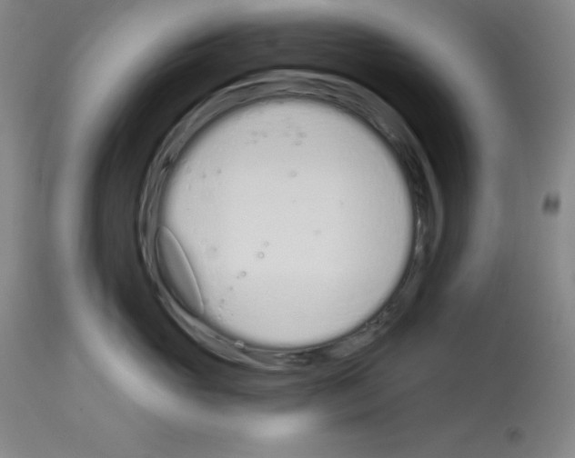 X0000112720765200910011132