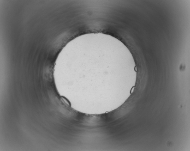 X0000112720768200910011132