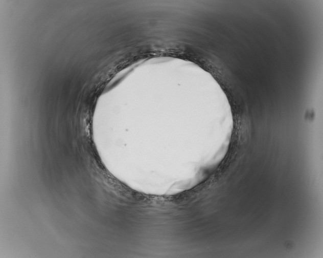 X0000112720770200910011131