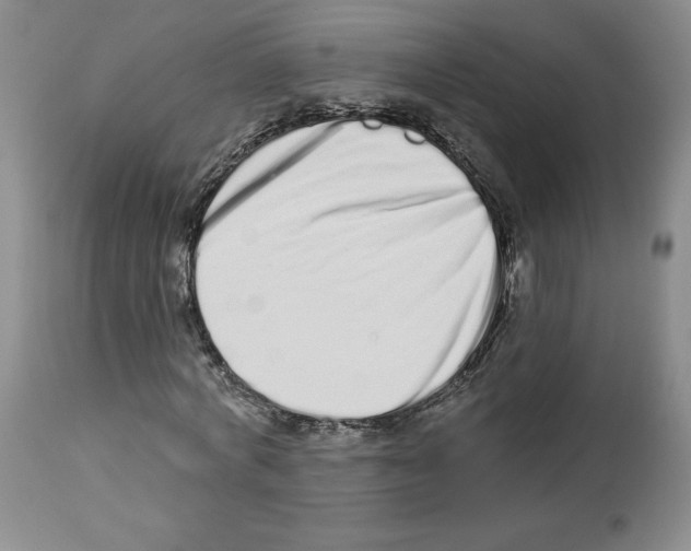 X0000112720772200910011131