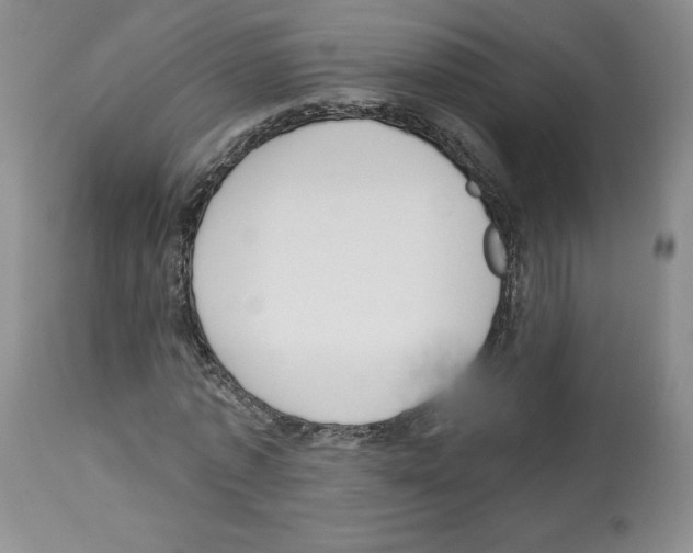 X0000112720773200910011131