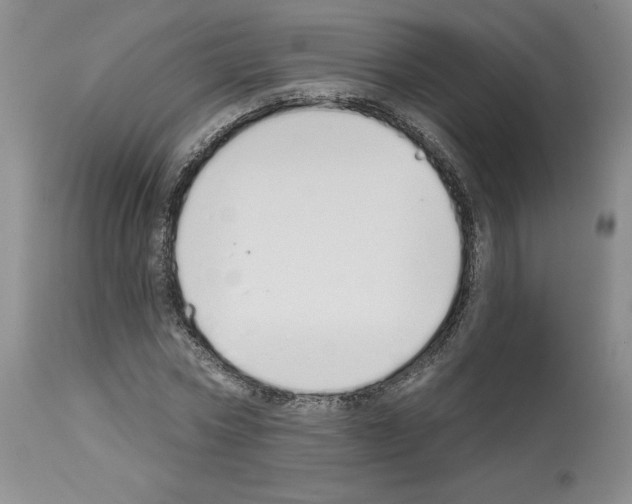 X0000112720778200910011131