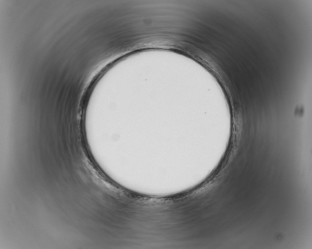 X0000112720779200910011131