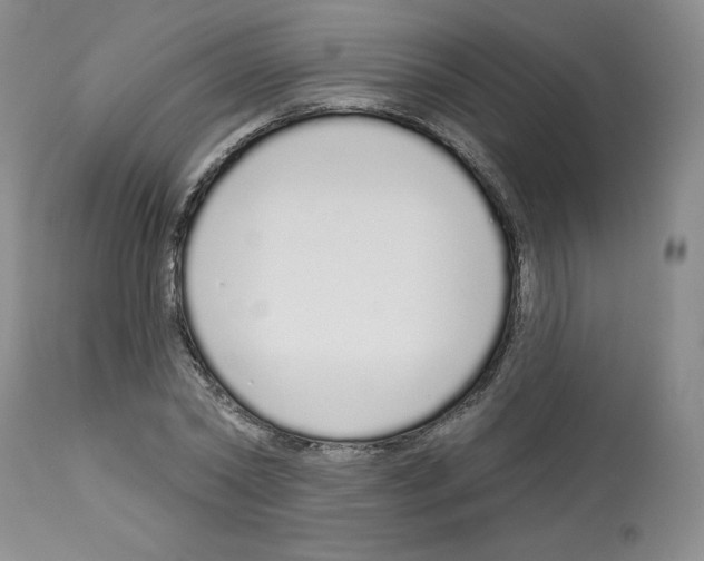 X0000112720782200910011130