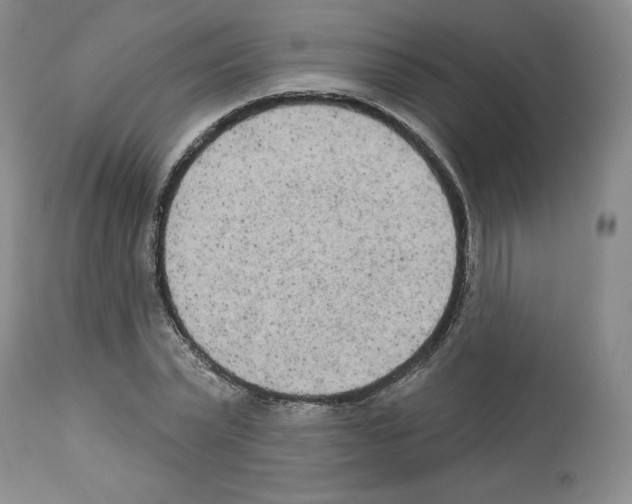 X0000112720783200910011130