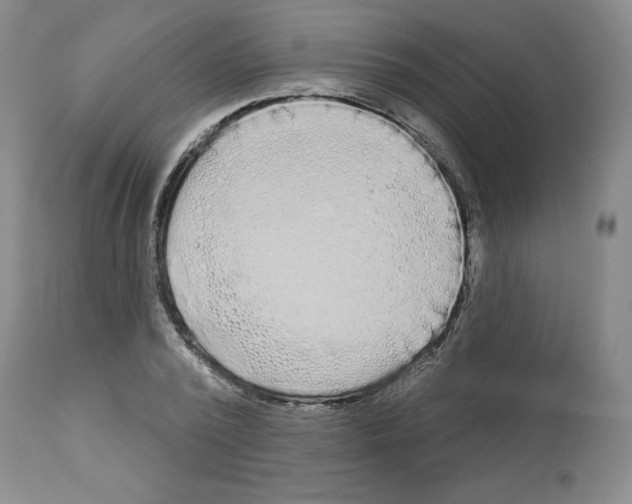 X0000112720784200910011130