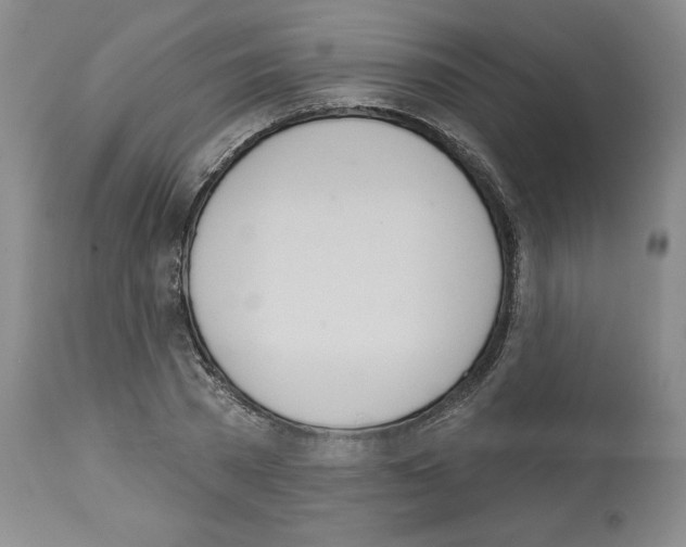 X0000112720785200910011130