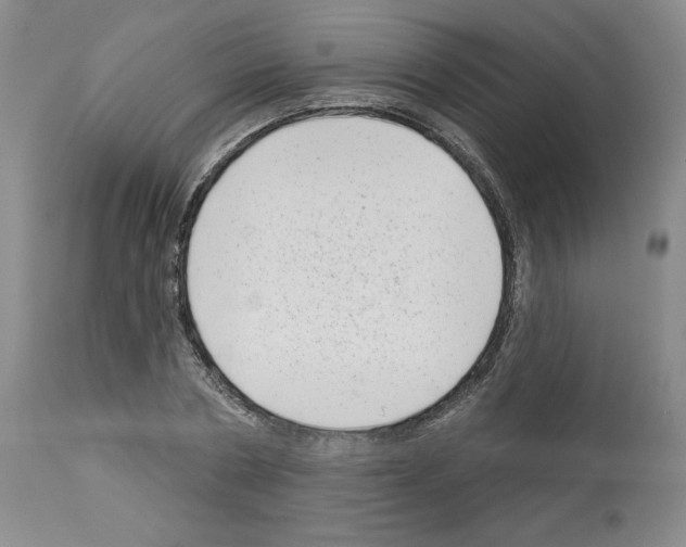 X0000112720786200910011130