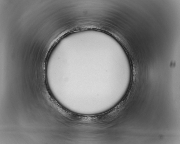 X0000112720790200910011130