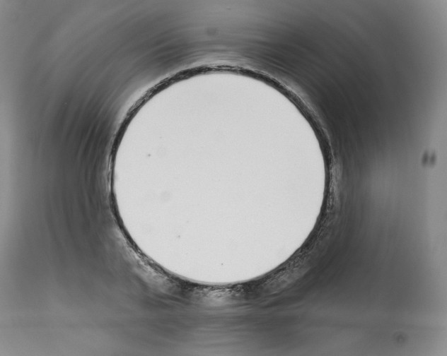 X0000112720791200910011130