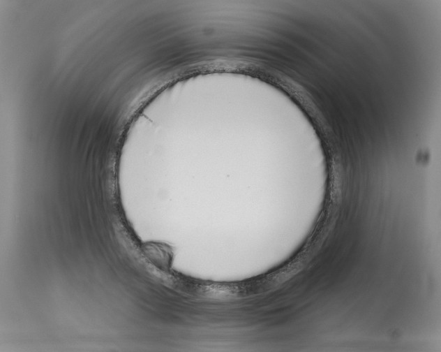 X0000112720794200910011130