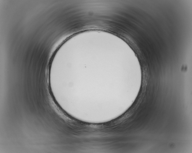 X0000112720796200910011130