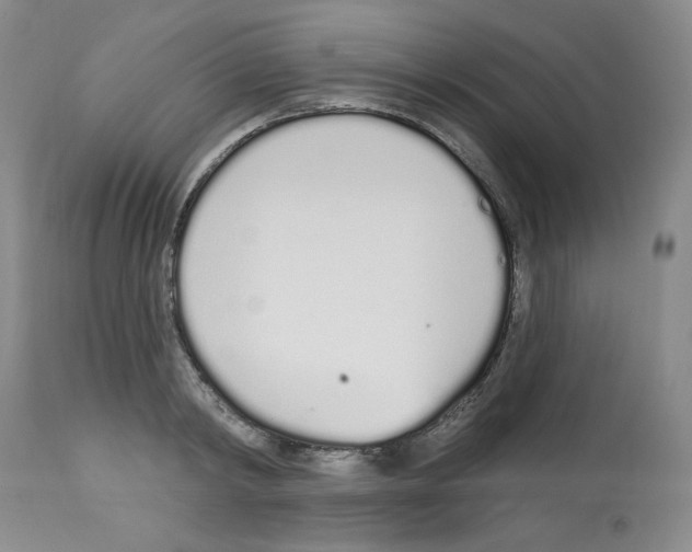 X0000112720798200910011130