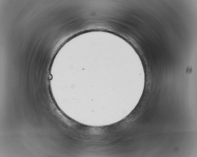 X0000112720799200910011130