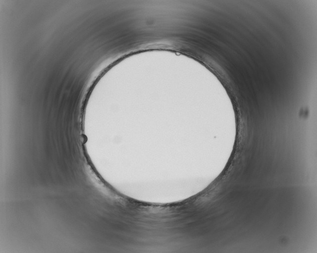 X0000112720800200910011130