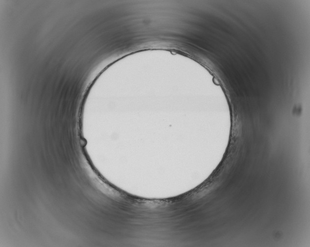 X0000112720803200910011130