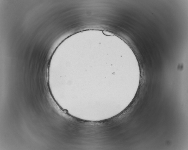 X0000112720804200910011130