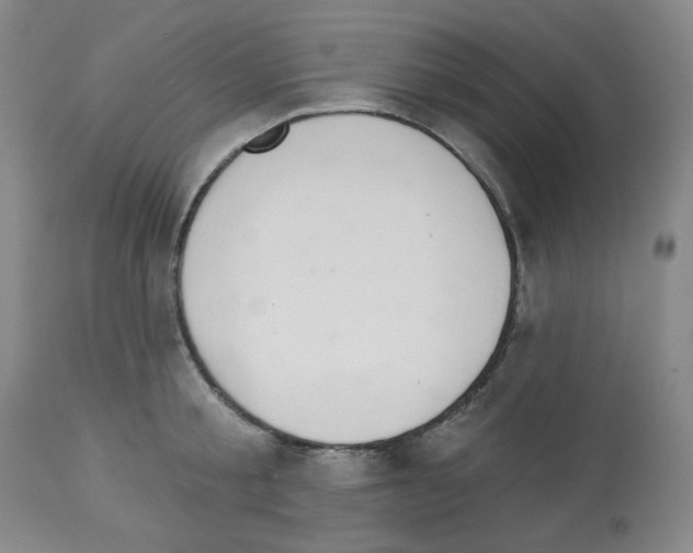 X0000112720805200910011130