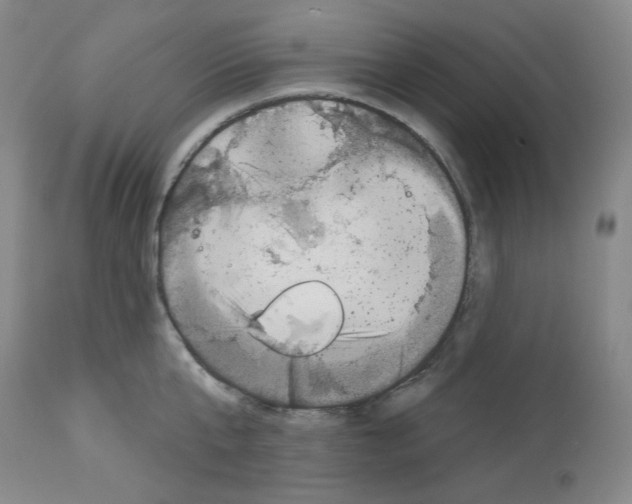 X0000112720807200910011130