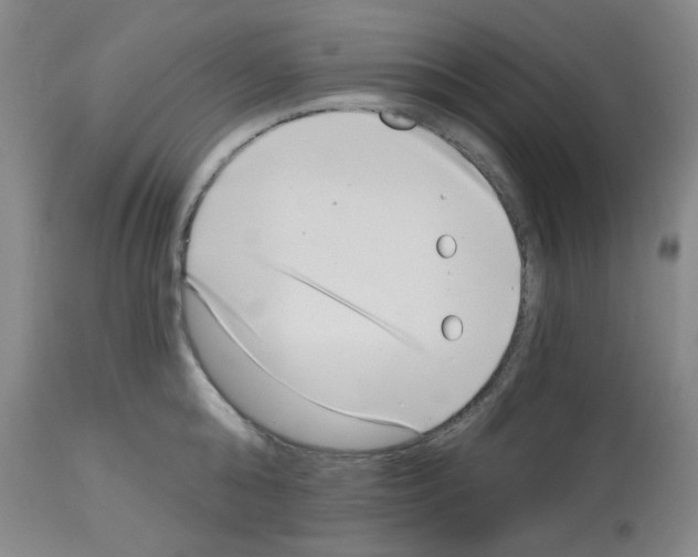 X0000112720808200910011130