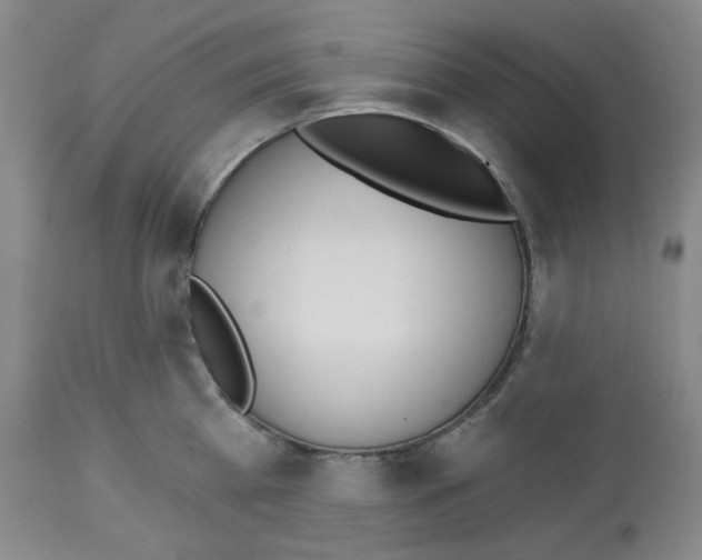 X0000112720809200910011130