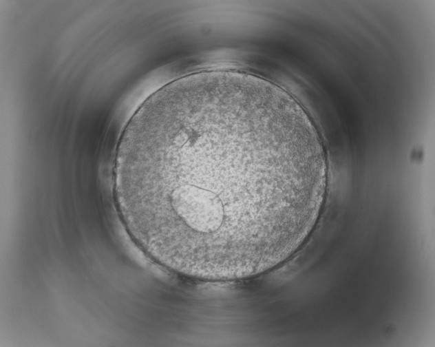 X0000112720810200910011130