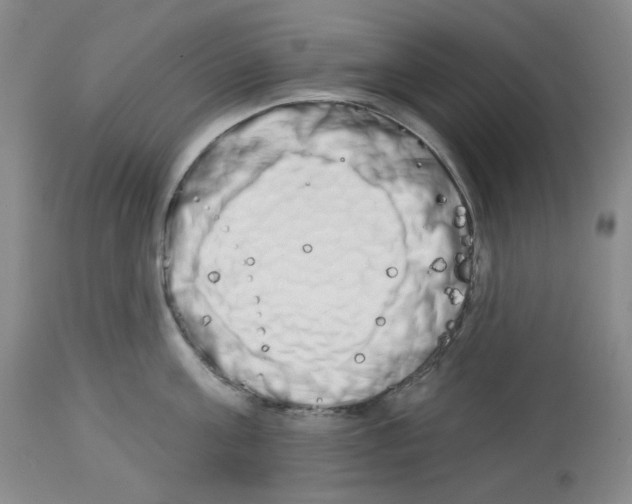 X0000112720811200910011130