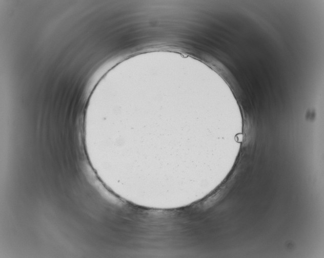 X0000112720812200910011130