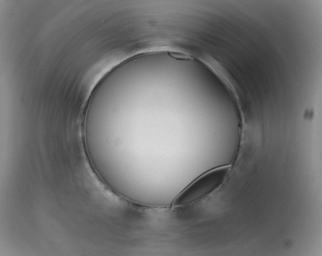 X0000112720813200910011130