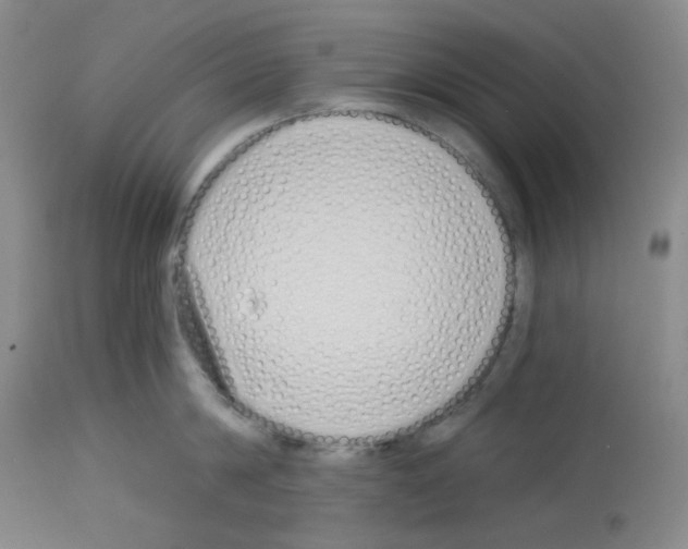 X0000112720814200910011130