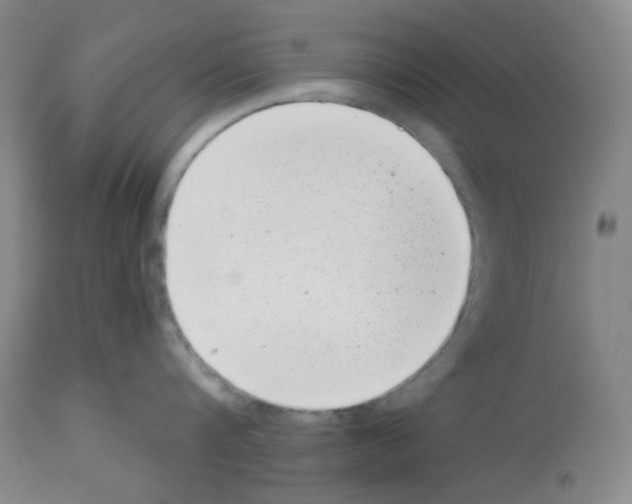 X0000112720816200910011130