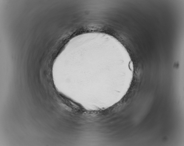 X0000112720817200910011129