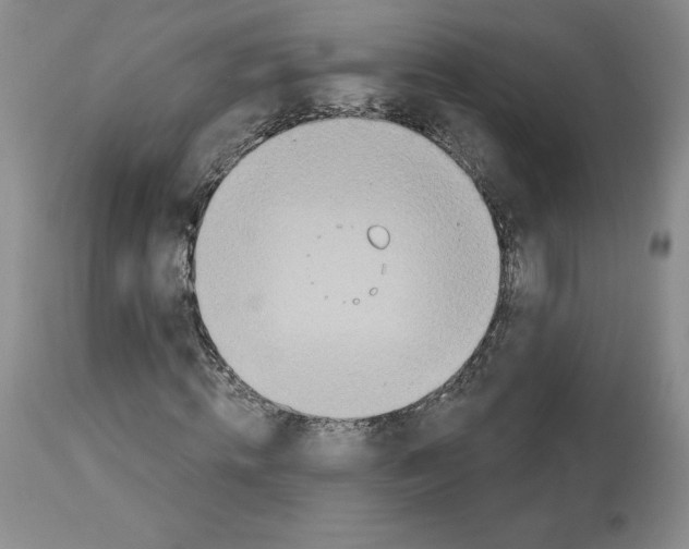 X0000112720820200910011129